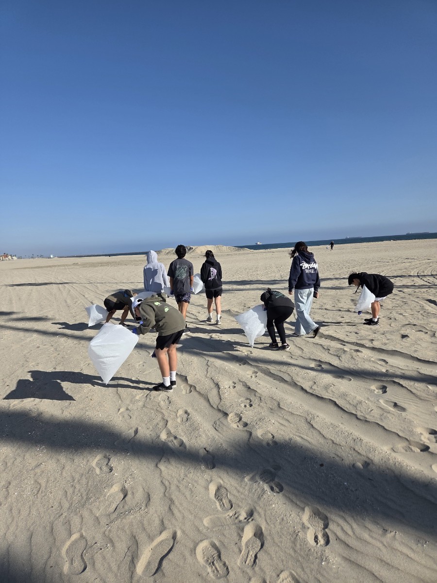 Beach Cleanup Team