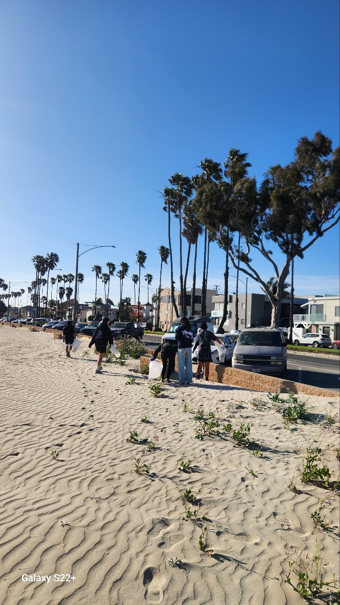 Beach Cleanup Along the Shore