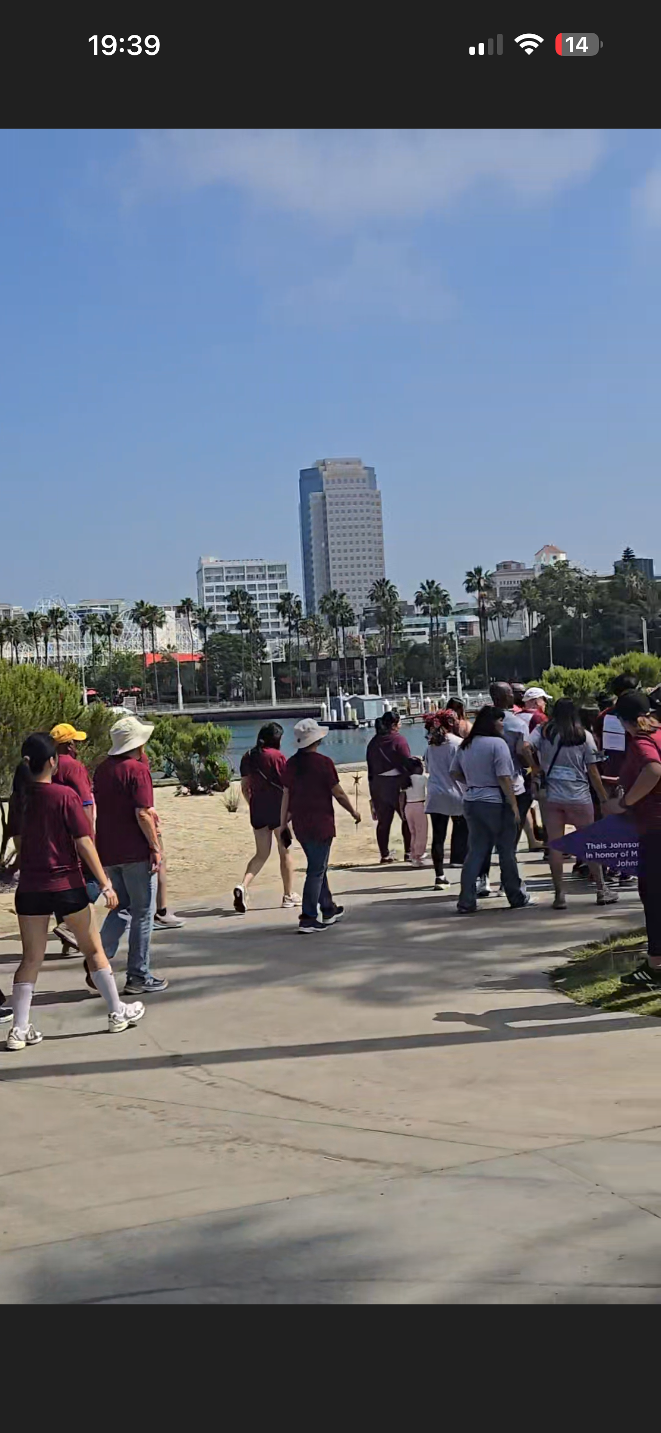 Charity Walk Near the Marina